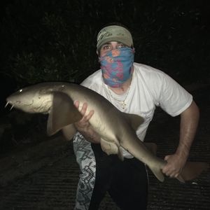 Meet your Posher, Randall